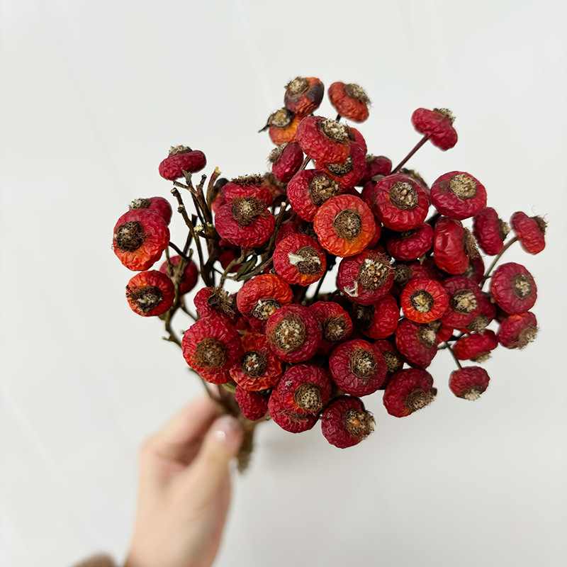 10 stuks/bundel gedroogde roze - Dried Flower Bulk recensie en prijs
