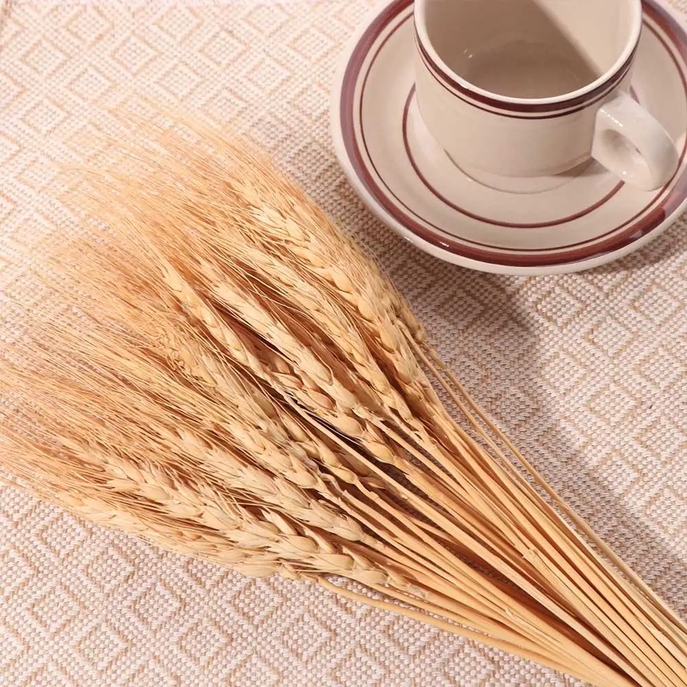 50 stuks Kunstbloemen Natuurli - Dried Flower Bulk recensie en prijs