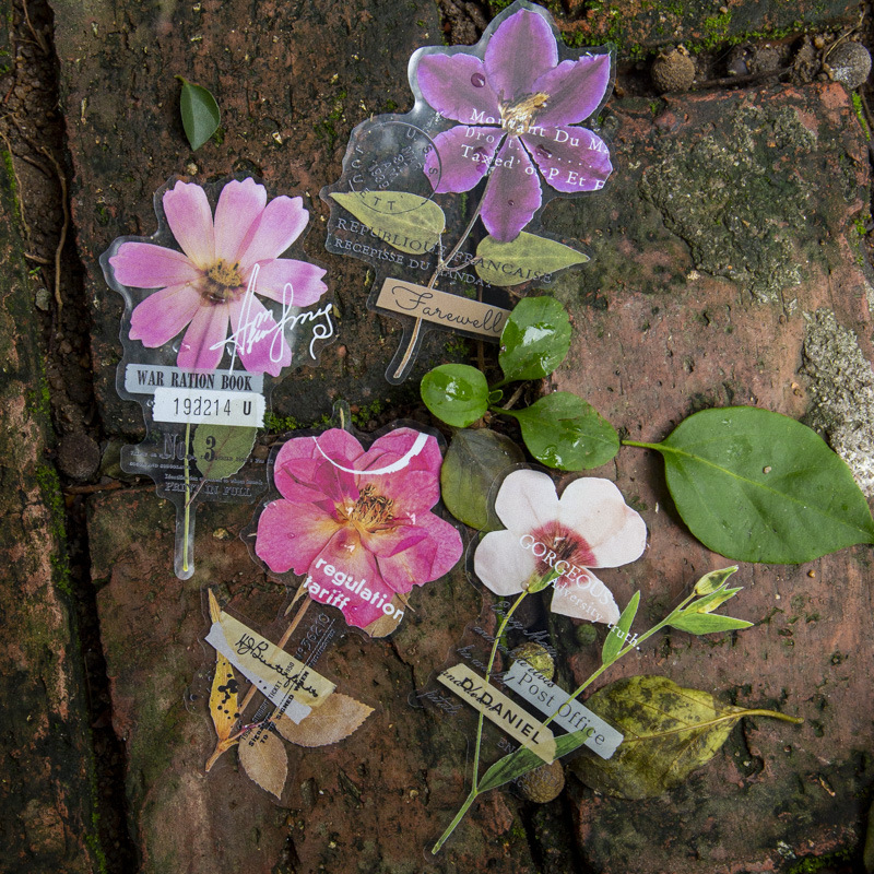 10 stuks/verpakking Hoekbloeme - Dried Flower Bulk recensie en prijs