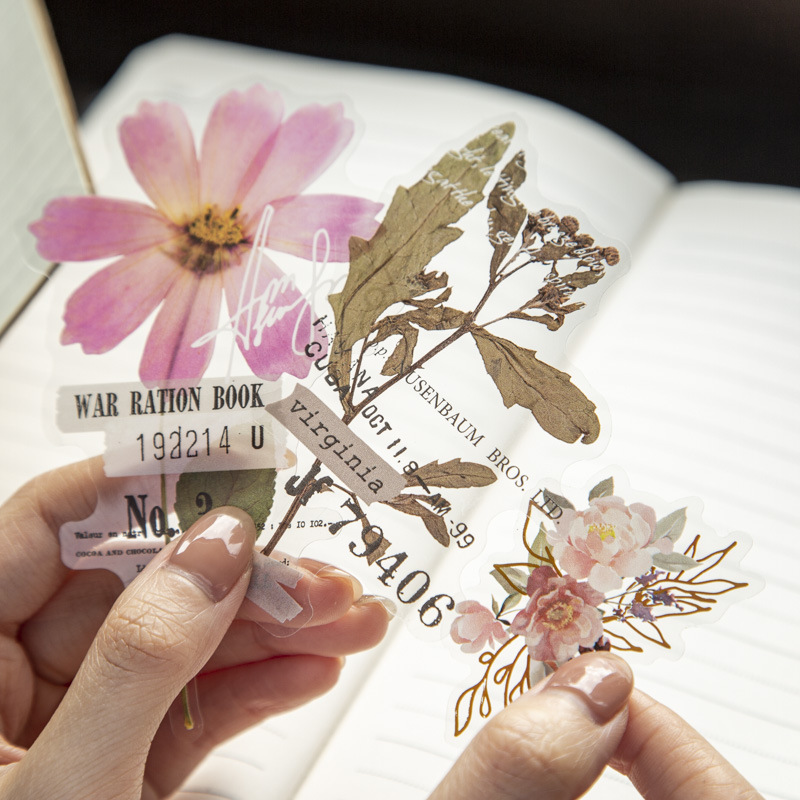 10 stuks/verpakking Hoekbloeme - Dried Flower Bulk recensie en prijs