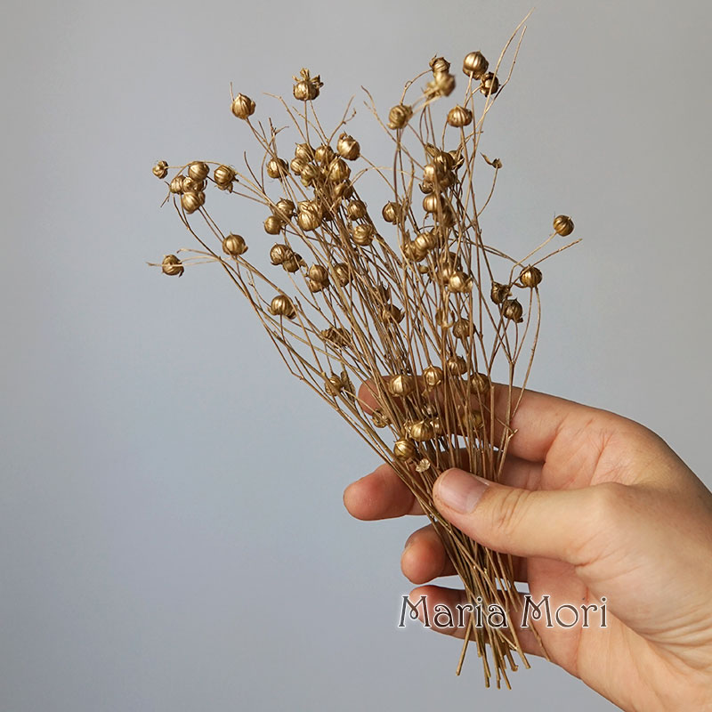 5g Bewaarde Vlasboon Natuurlij - Dried Flower Bulk recensie en prijs