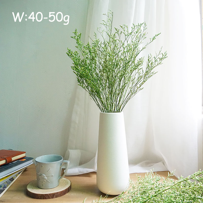50g/geconserveerd Valentijnsgr - Dried Flower Bulk recensie en prijs