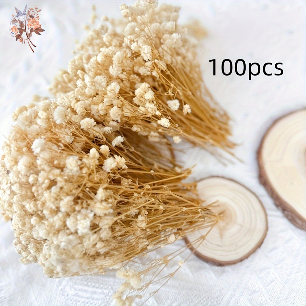 100 stuks Mini Gedroogde Baby' - Dried Flower Bulk recensie en prijs